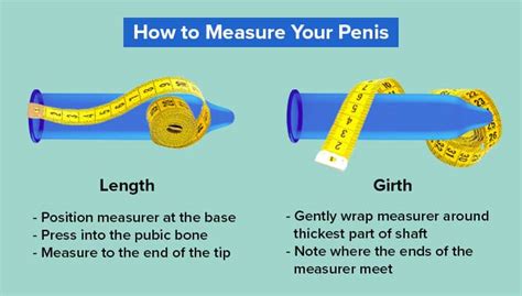 dick images|Shown Actual Size: A Penis Shape & Size Lowdown